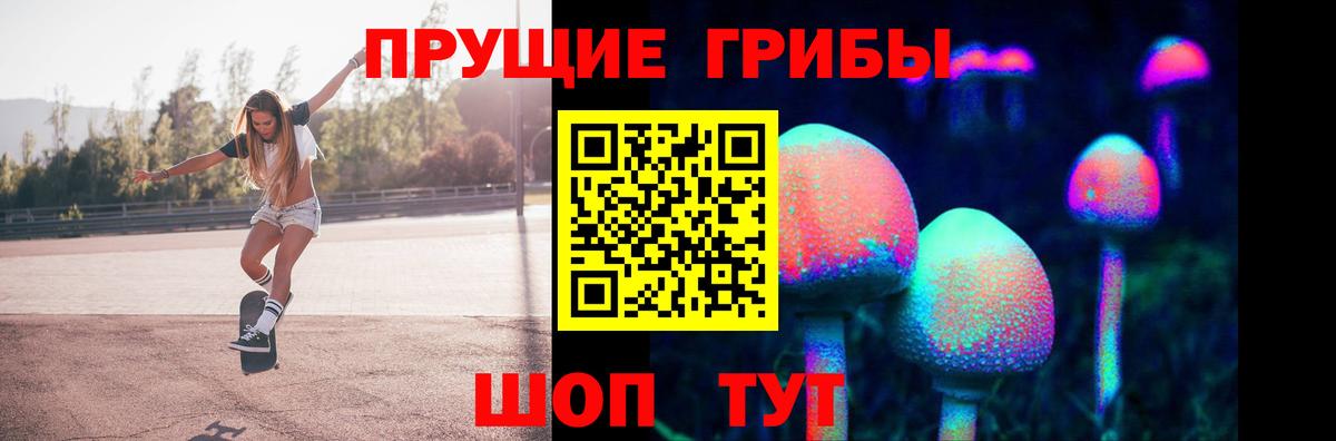 Псилоцибиновые грибы GOLDEN TEACHER Кимры